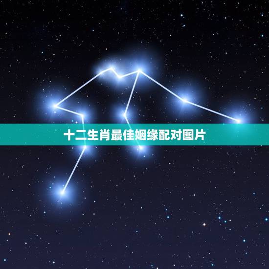 十二生肖最佳姻缘配对图片,十二生肖姻缘配对-12生肖最佳配对-十二生肖 十二生肖最佳姻缘配对图片,十二生肖姻缘配对-12生肖最佳配对-十二生肖