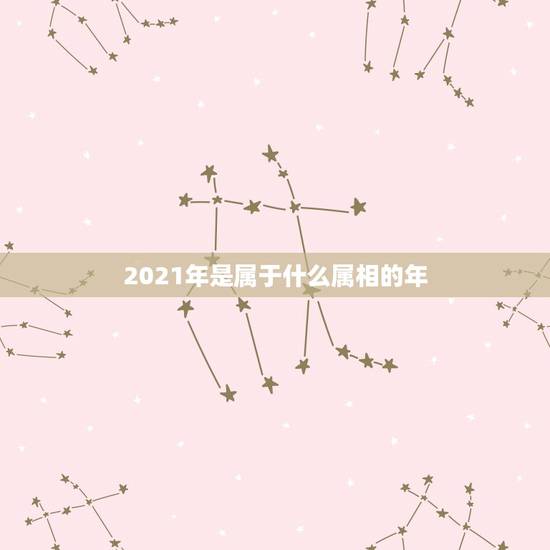 2021年是属于什么属相的年，今年是什么年2021年属于什么？