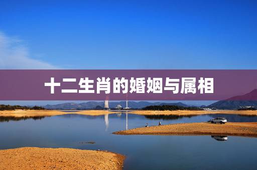 十二生肖的婚姻与属相,十二生肖属相婚姻匹配 十二生肖的婚姻与属相,十二生肖属相婚姻匹配