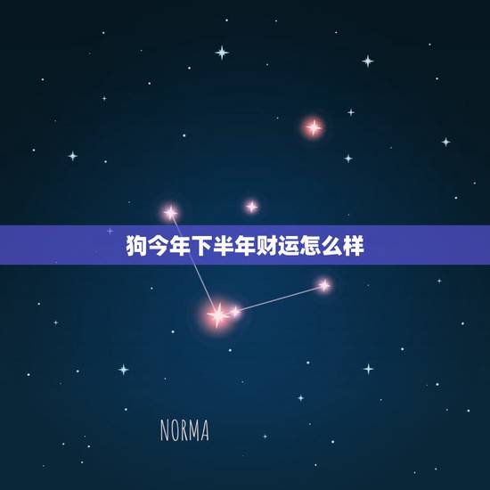 狗今年下半年财运怎么样,2022 年属狗女注意哪些 狗今年下半年财运怎么样,2022 年属狗女注意哪些