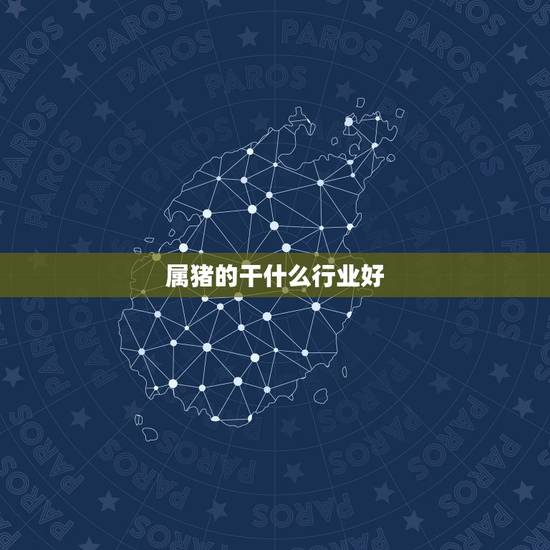 属猪的干什么行业好，属猪的做什么职业好呢
