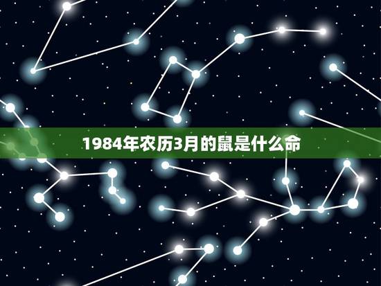 1984年农历3月的鼠是什么命，1984年3月初三12点女鼠什么命