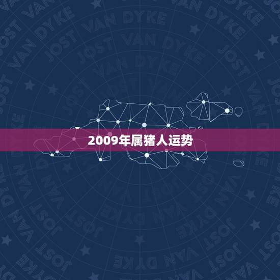 2009年属猪人运势,2009年属猪的运势 2009年属猪人运势,2009年属猪的运势