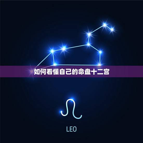 如何看懂自己的命盘十二宫 紫薇命盘怎么看图解 如何看懂自己的命盘十二宫 紫薇命盘怎么看图解
