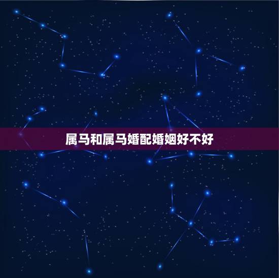 属马和属马婚配婚姻好不好，属鸡跟属猪结婚好不好