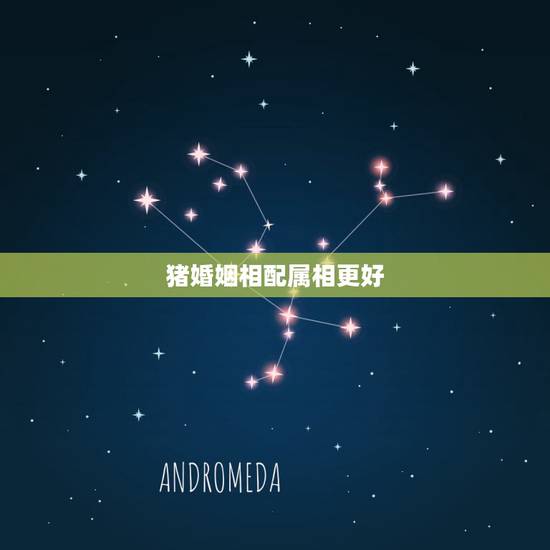 猪婚姻相配属相更好,属猪更佳婚配前十名属相 猪婚姻相配属相更好,属猪更佳婚配前十名属相