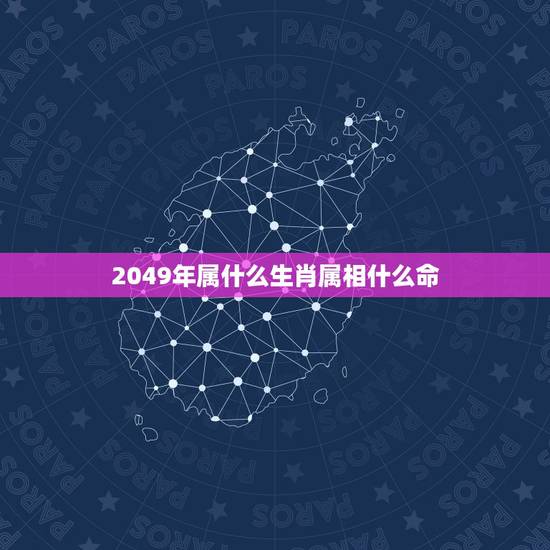 2049年属什么生肖属相什么命，属相年份