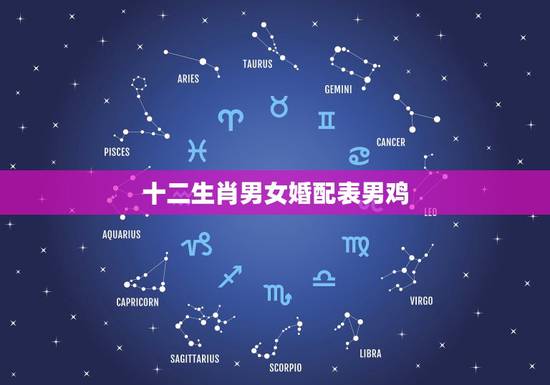 十二生肖男女婚配表男鸡，男属鸡的属相婚配表