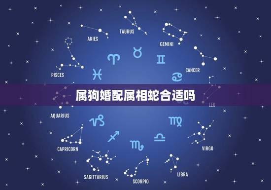 属狗婚配属相蛇合适吗，男生属蛇和女生属狗相配么？