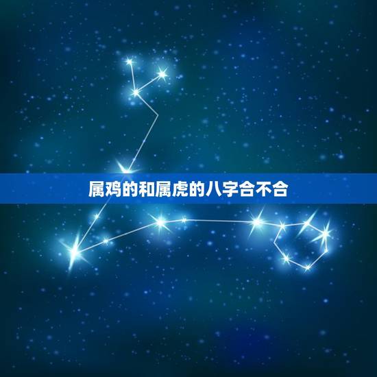 属鸡的和属虎的八字合不合 属虎的最佳婚配对象 属鸡的和属虎的八字合不合 属虎的最佳婚配对象
