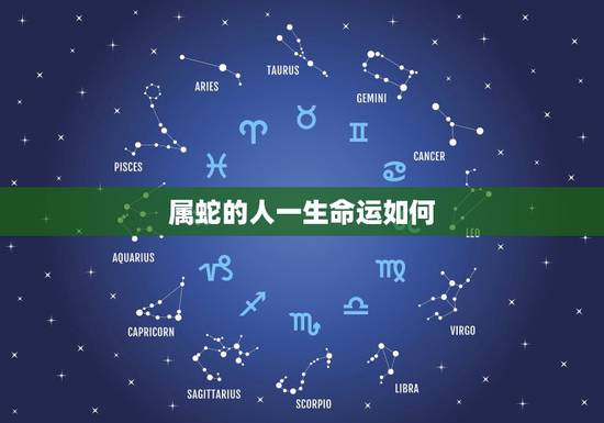 属蛇的人一生命运如何，属蛇44岁过后的命运