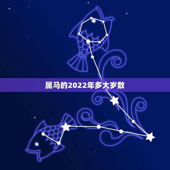 属马的2022年多大岁数，属马人2022 年运势运程