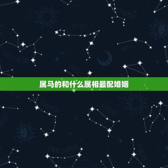 属马的和什么属相最配婚姻,生肖马的更佳婚配 属马的和什么属相最配婚姻,生肖马的更佳婚配