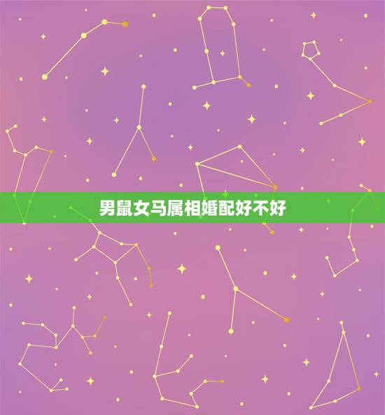 男鼠女马属相婚配好不好，属相婚配：男属马和女属鼠相配吗
