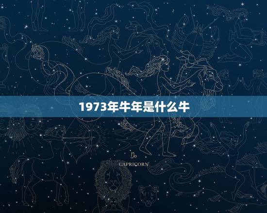 1973年牛年是什么牛，属牛1973年什么命
