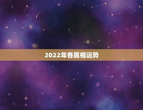 2022年各属相运势，2022犯太岁生肖属相