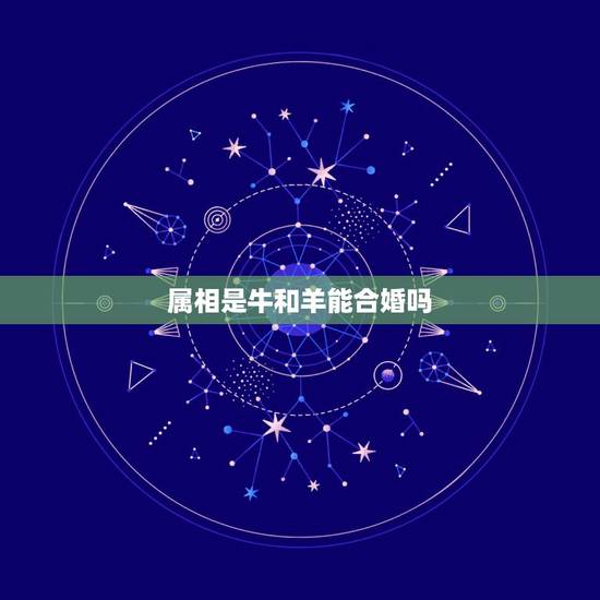 属相是牛和羊能合婚吗，女属牛男属羊属相是和结婚吗