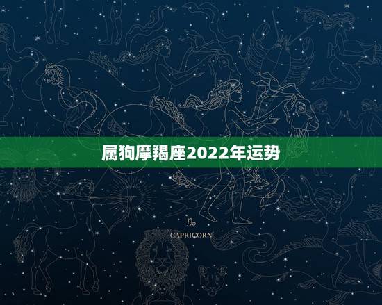 属狗摩羯座2022年运势,2022年运势最好的生肖 属狗摩羯座2022年运势,2022年运势最好的生肖