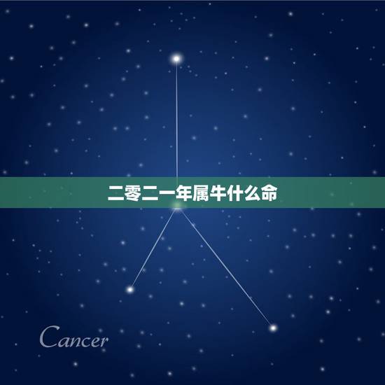 二零二一年属牛什么命，97年属牛的是什么命