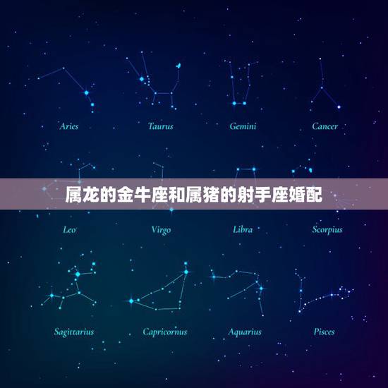 属龙的金牛座和属猪的射手座婚配，属牛的射手座女生与属龙的金牛座男生配吗