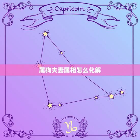 属狗夫妻属相怎么化解,怎样化解男属狗女属鸡的属相 属狗夫妻属相怎么化解,怎样化解男属狗女属鸡的属相