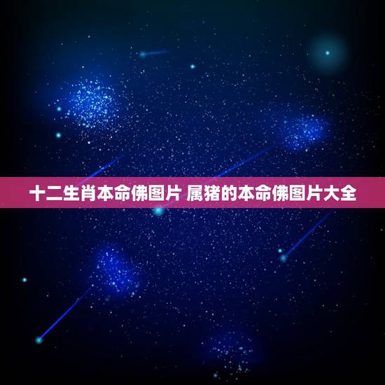 十二生肖本命佛图片 属猪的本命佛图片大全 十二生肖本命佛图片 属猪的本命佛图片大全