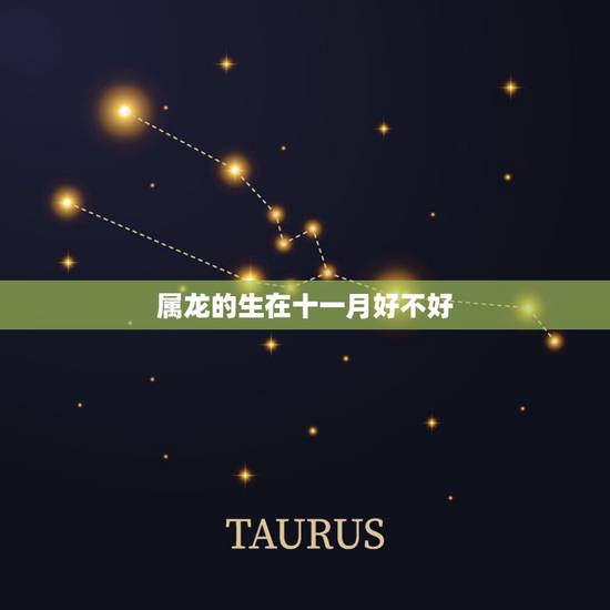 属龙的生在十一月好不好,属龙农历11月出生女人 属龙的生在十一月好不好,属龙农历11月出生女人