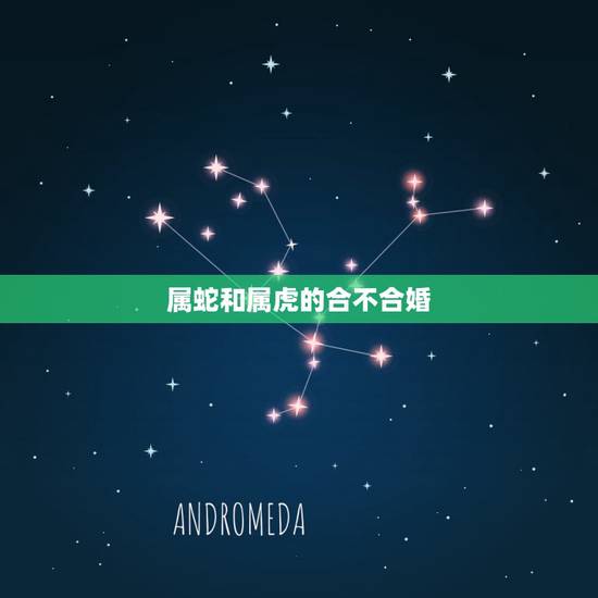 属蛇和属虎的合不合婚,属虎和属蛇的谁克谁 属蛇和属虎的合不合婚,属虎和属蛇的谁克谁