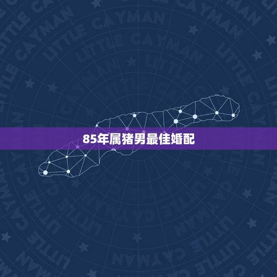 85年属猪男最佳婚配,83年男属猪和85年女属牛配么? 85年属猪男最佳婚配,83年男属猪和85年女属牛配么?