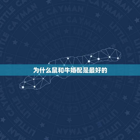 为什么鼠和牛婚配是最好的，男属鼠女属牛婚配如何