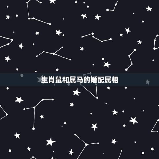 生肖鼠和属马的婚配属相,属老鼠的和属马的结婚相配吗? 生肖鼠和属马的婚配属相,属老鼠的和属马的结婚相配吗?