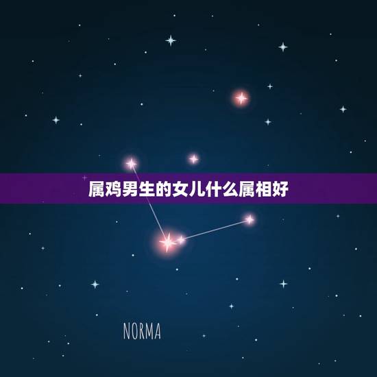 属鸡男生的女儿什么属相好，男属鸡女属猪生个什么属相的孩子最好？