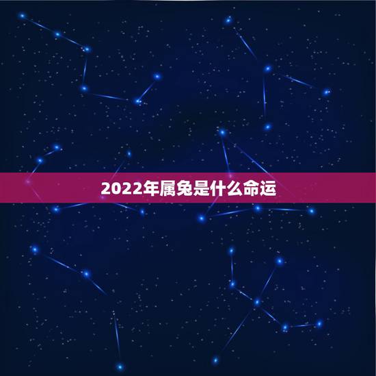 2022年属兔是什么命运，2022年属虎的几月出生更好