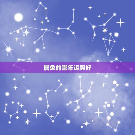 属兔的哪年运势好，属兔的2022 年运势如何