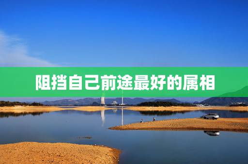 阻挡自己前途最好的属相,在当今紧张的社会中,12生肖最有发展前途的是哪 阻挡自己前途最好的属相,在当今紧张的社会中,12生肖最有发展前途的是哪