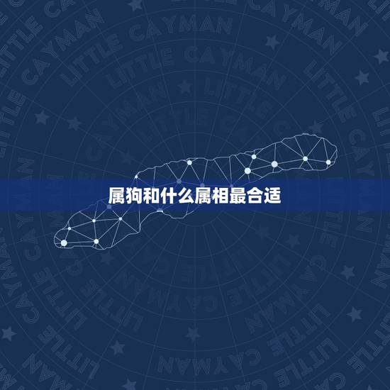 属狗和什么属相最合适,属狗的与什么生肖的最相配 属狗和什么属相最合适,属狗的与什么生肖的最相配
