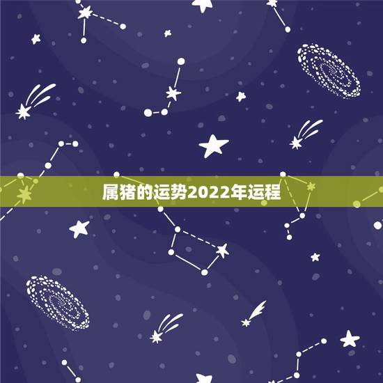 属猪的运势2022年运程，2010年属猪的运势