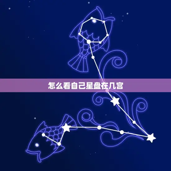 怎么看自己星盘在几宫 怎么看自己星盘在几宫