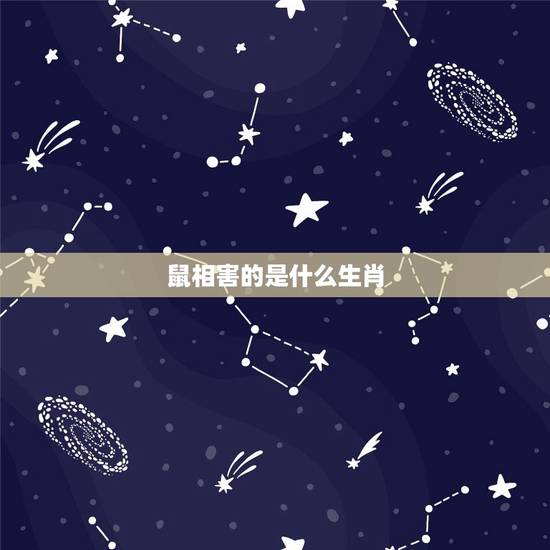 鼠相害的是什么生肖，鼠羊相害是什么意思