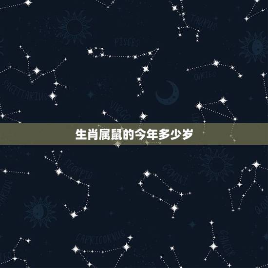 生肖属鼠的今年多少岁，属牛今年几岁