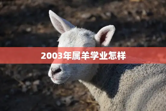 2003年属羊学业怎样(属羊人的学业运势分析) 2003年属羊学业怎样(属羊人的学业运势分析)