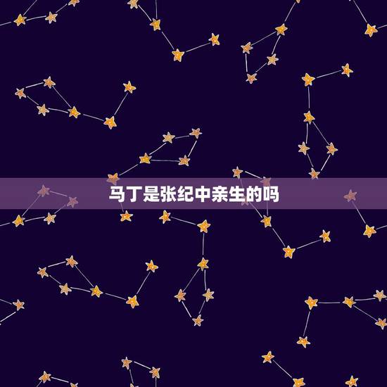马丁是张纪中亲生的吗，张纪中几个孩子