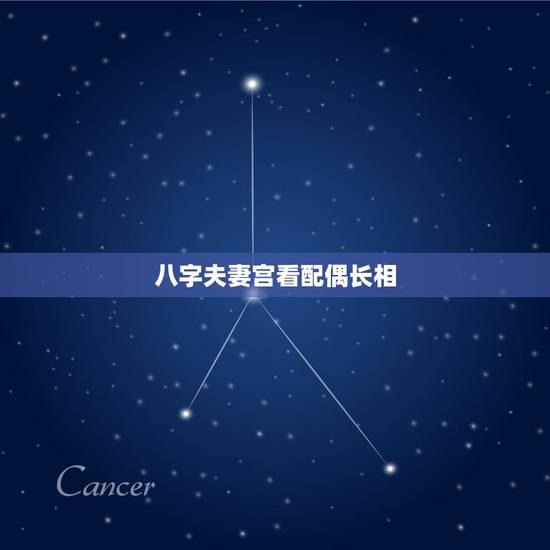 八字夫妻宫看配偶长相,八字看配偶相貌,不同角度相貌不同,比如说从日支看 八字夫妻宫看配偶长相,八字看配偶相貌,不同角度相貌不同,比如说从日支看