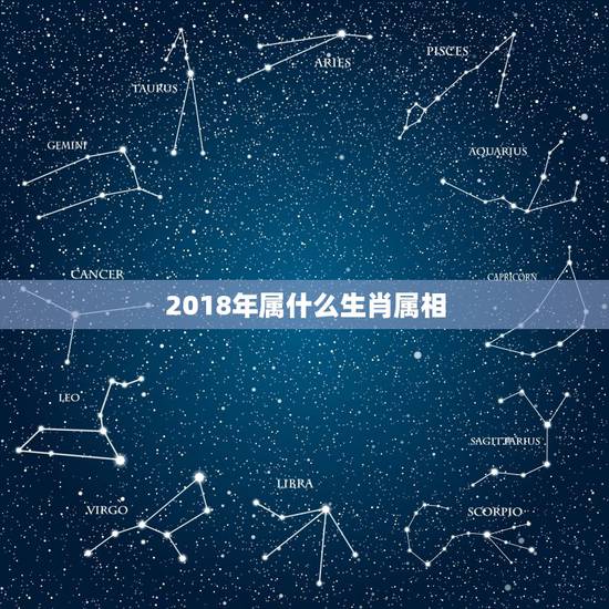 2018年属什么生肖属相,2018是什么生肖年 2018年属什么生肖属相,2018是什么生肖年