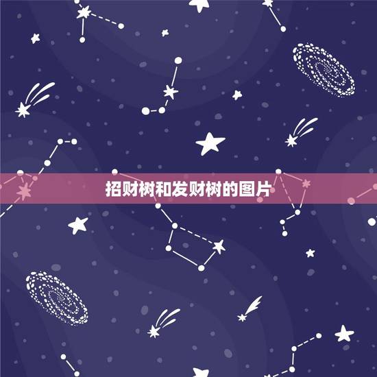 招财树和发财树的图片,发财树有几种,求图片 招财树和发财树的图片,发财树有几种,求图片