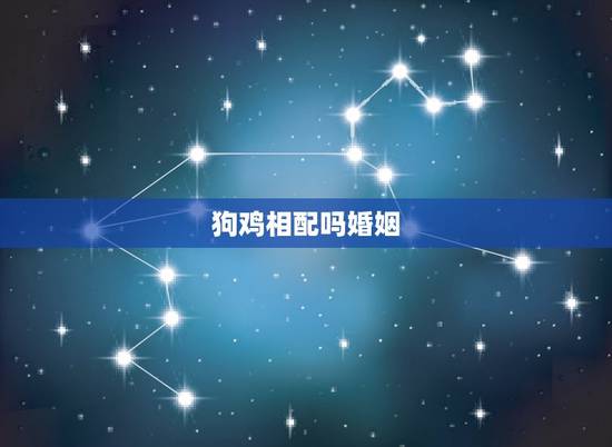 狗鸡相配吗婚姻,男属狗和女属鸡相配吗 狗鸡相配吗婚姻,男属狗和女属鸡相配吗