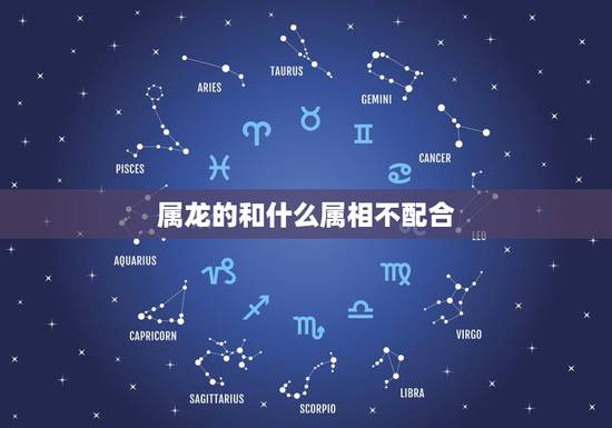 属龙的和什么属相不配合，属兔的犯克属相