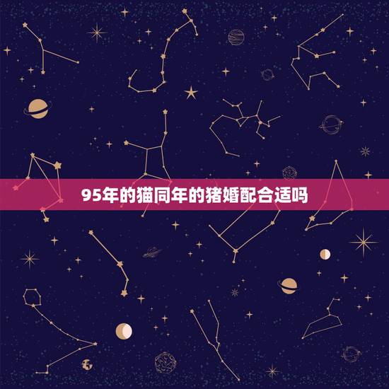 95年的猫同年的猪婚配合适吗,95年属猪男和属猪女配吗? 95年的猫同年的猪婚配合适吗,95年属猪男和属猪女配吗?