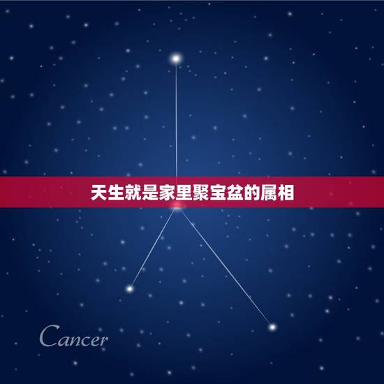 天生就是家里聚宝盆的属相，谁家女人是这三大生肖，子孙多富贵，相当于娶个