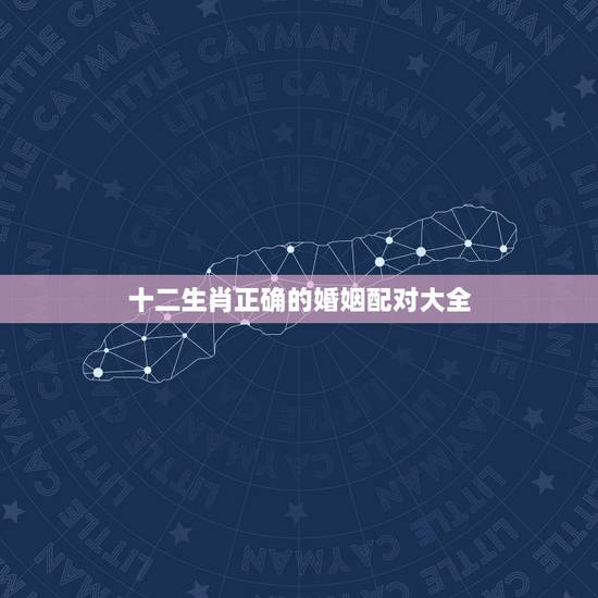 十二生肖正确的婚姻配对大全,属相配对大全 十二生肖正确的婚姻配对大全,属相配对大全